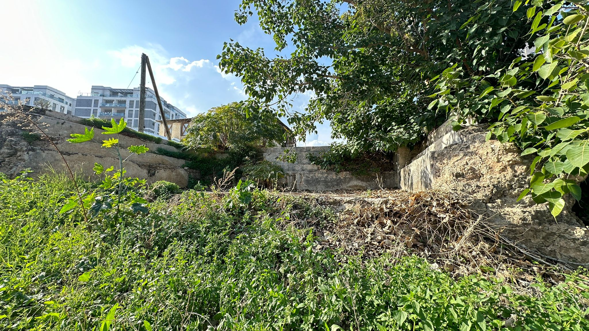 WhatsApp Image 2024-01-06 at 10.35.15.jpg